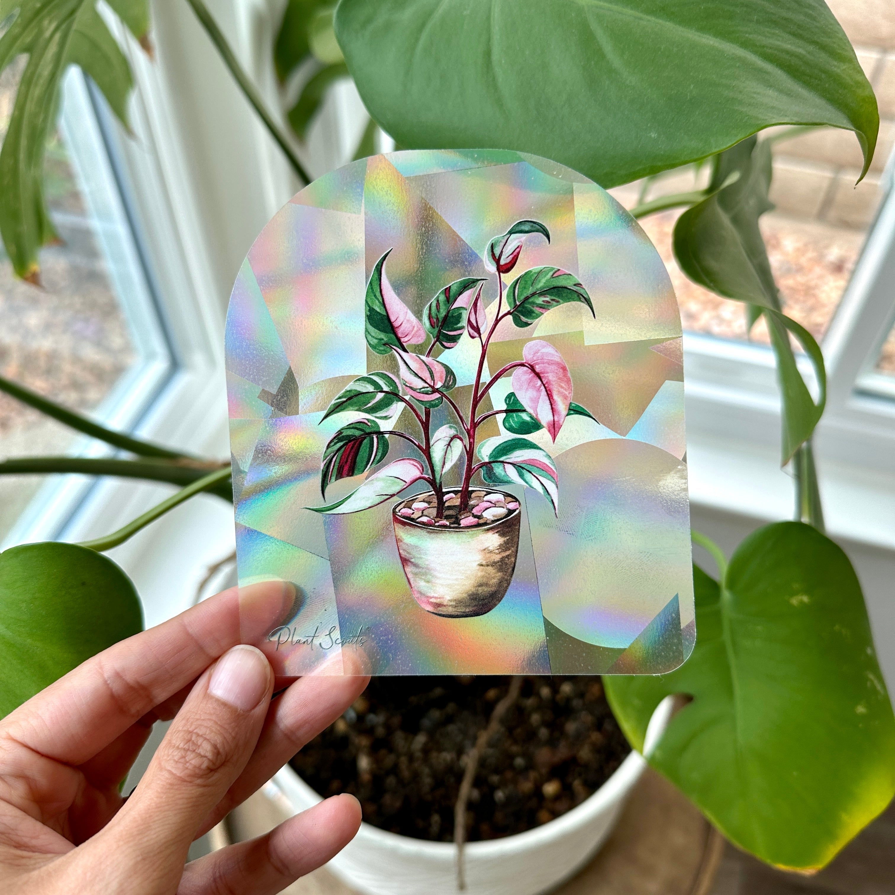 Suncatchers