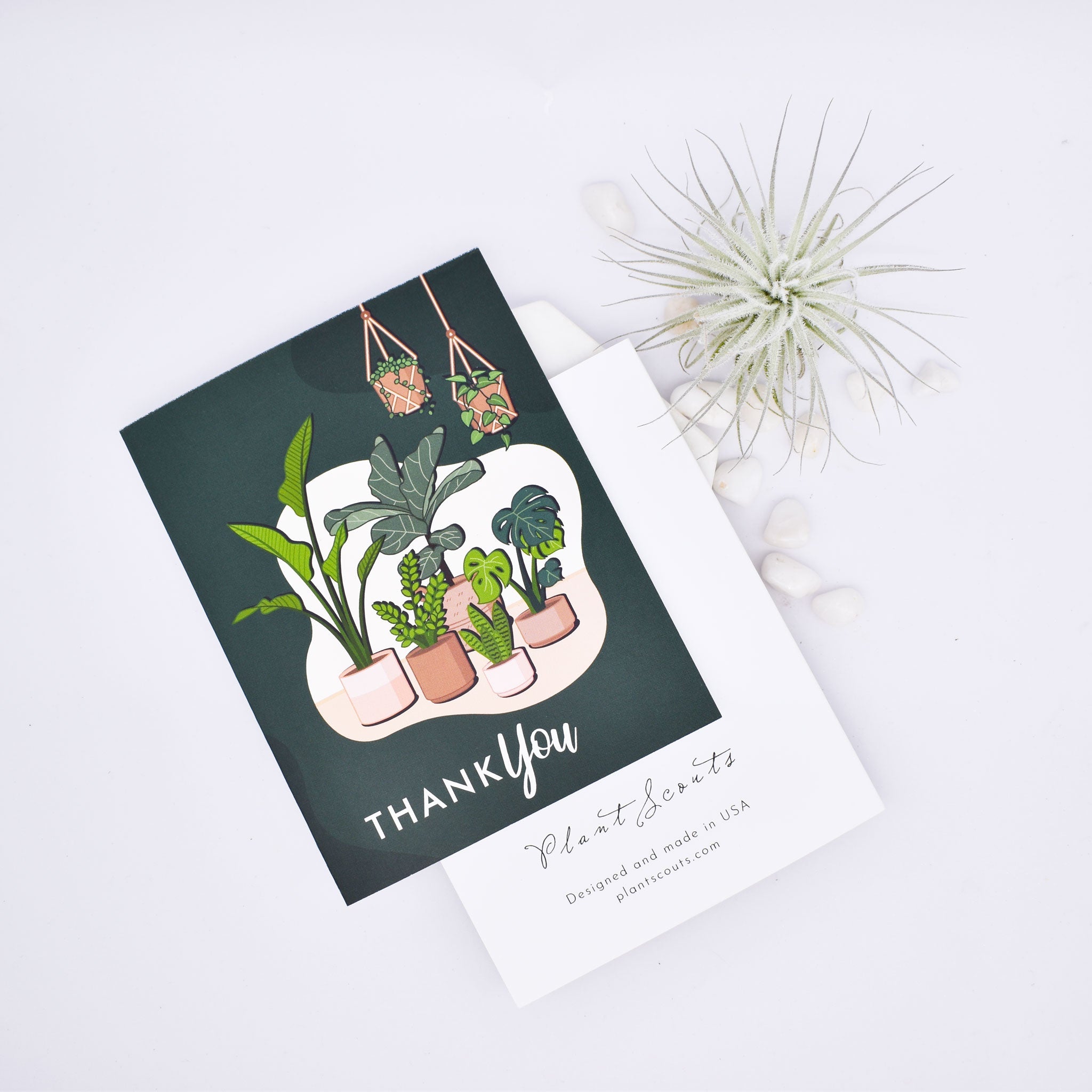 Greeting Cards