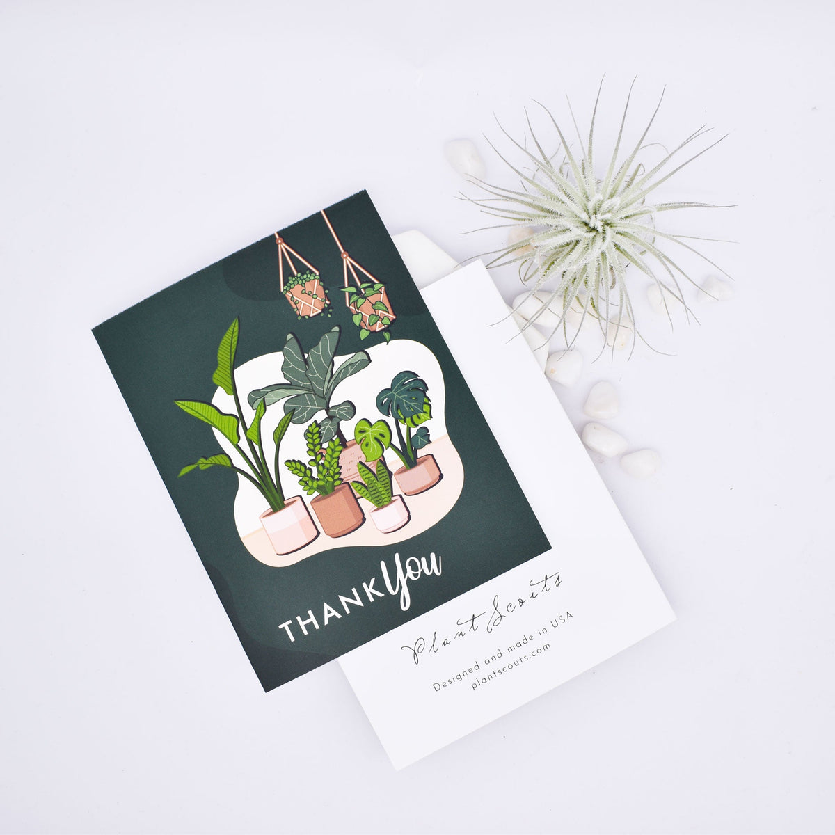 Greeting Cards