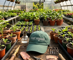 Load image into Gallery viewer, Plant Manager Embroidered Dad Hat – Funny Plant Lover Baseball Cap, Botanical Gardener Hat, Green Cottagecore Plant Parent Gift
