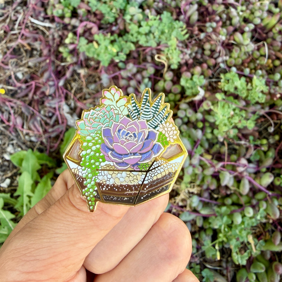 Succulent Terrarium Pin