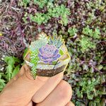 Load image into Gallery viewer, Succulent Terrarium Enamel Pin – Cactus &amp; Plant Lover Pin, Botanical Gold Lapel Pin, Cute Houseplant Badge Gift
