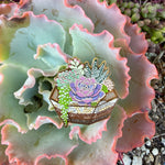 Load image into Gallery viewer, Succulent Terrarium Enamel Pin – Cactus &amp; Plant Lover Pin, Botanical Gold Lapel Pin, Cute Houseplant Badge Gift
