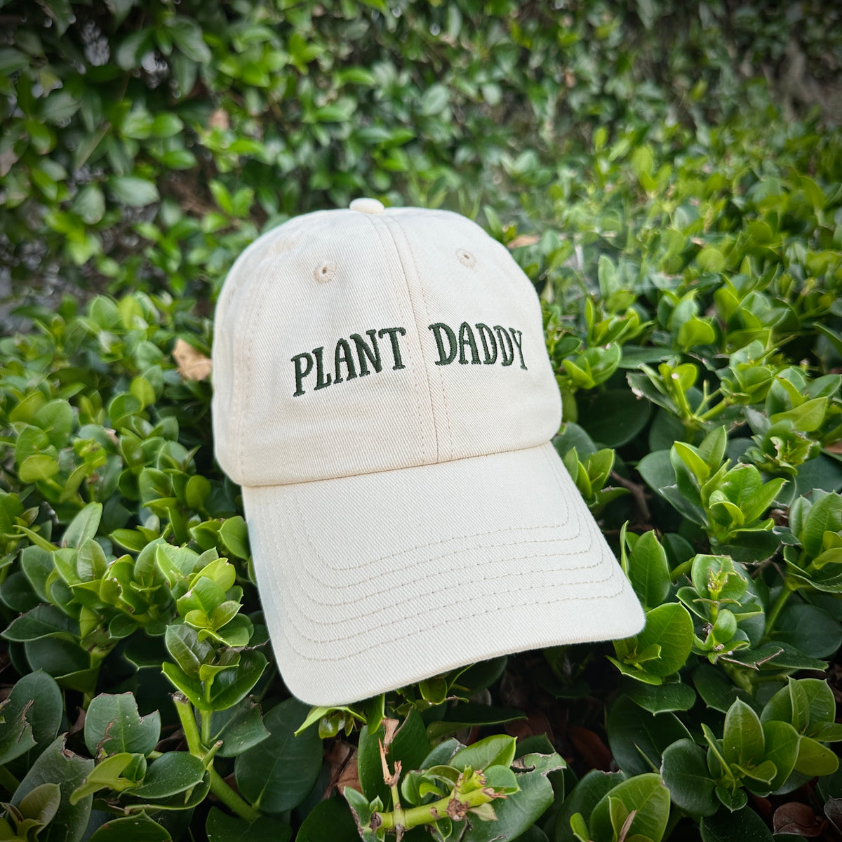 Plant Daddy Hat – Off-White