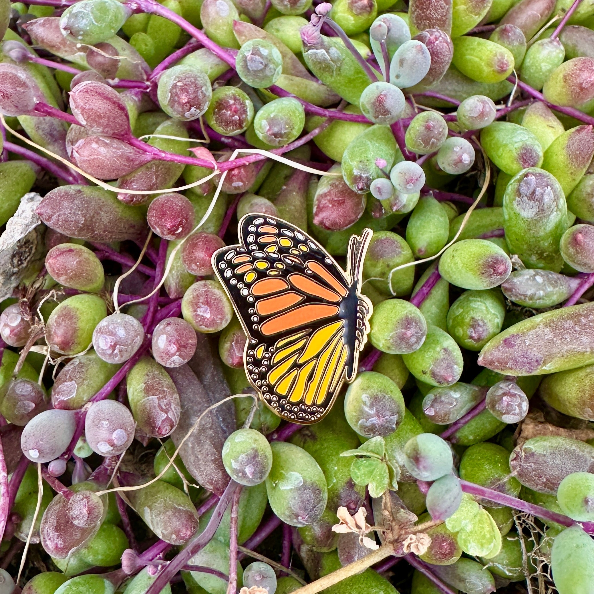 Monarch Butterfly Enamel Pin