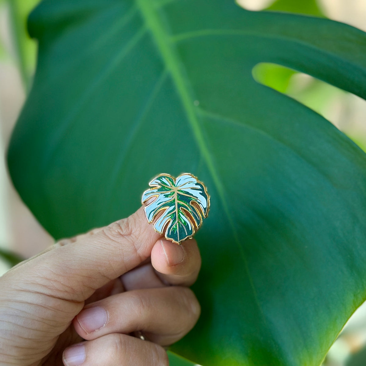 Monstera Variegated Pin