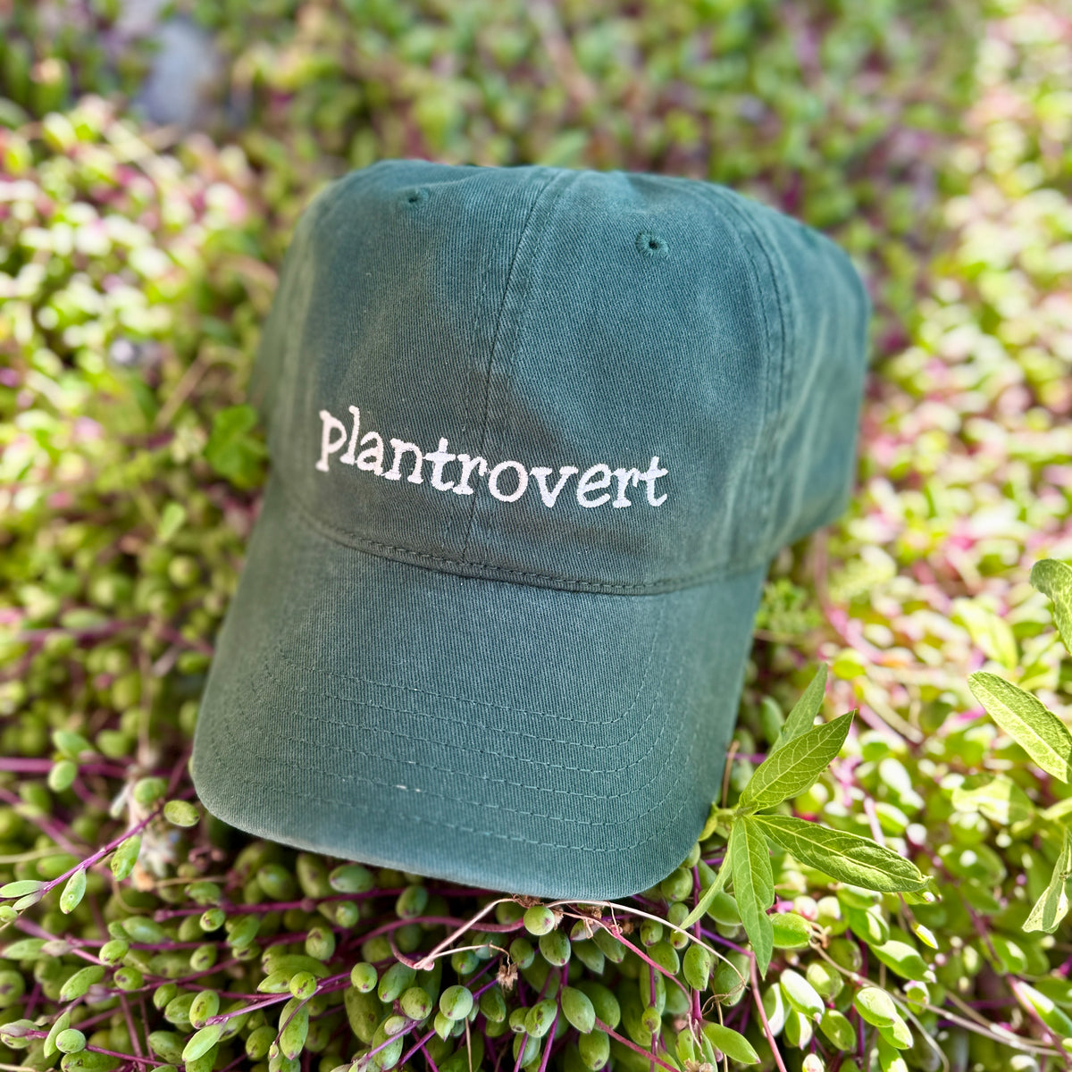 Plantrovert Embroidered Hat