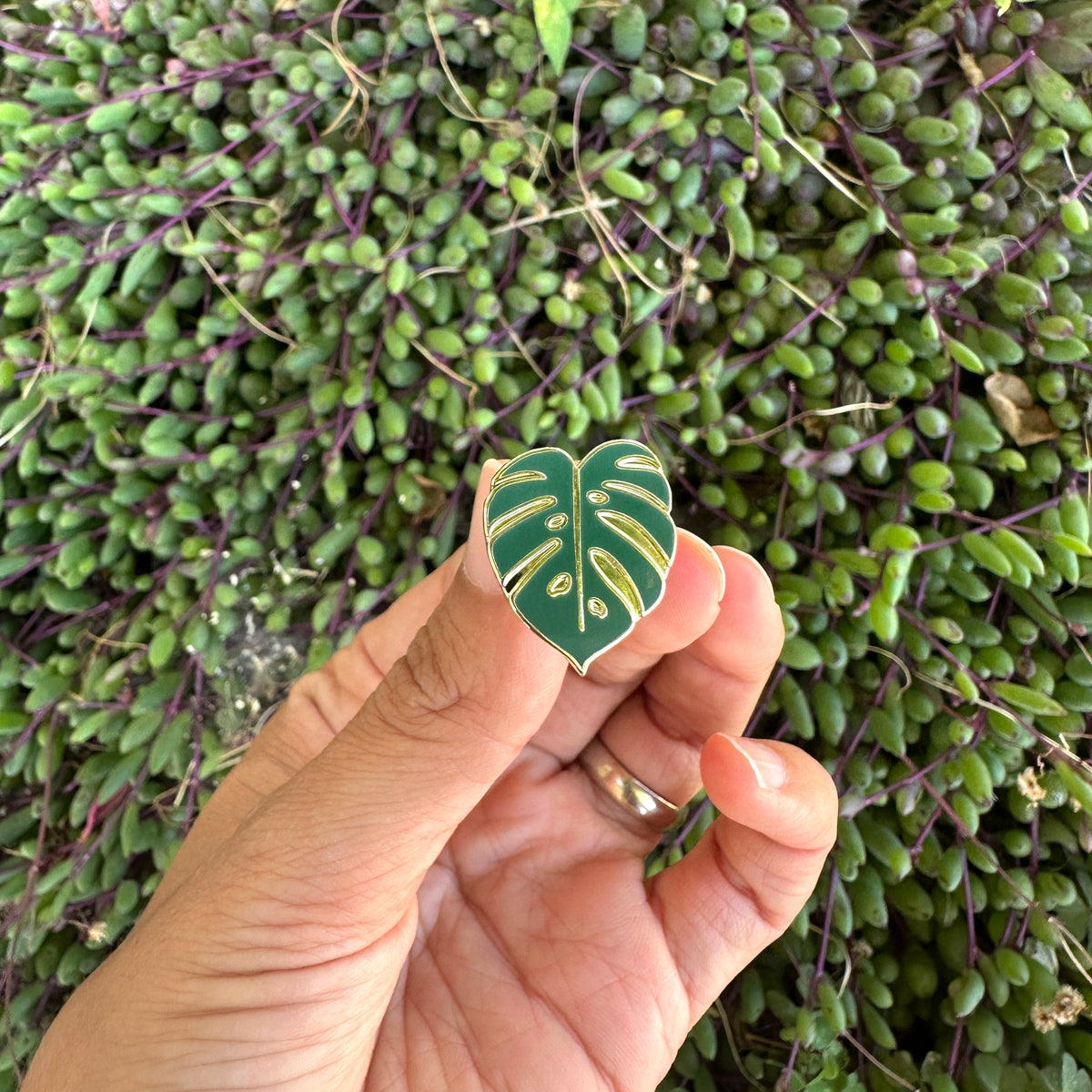 Monstera Leaf Enamel Pin