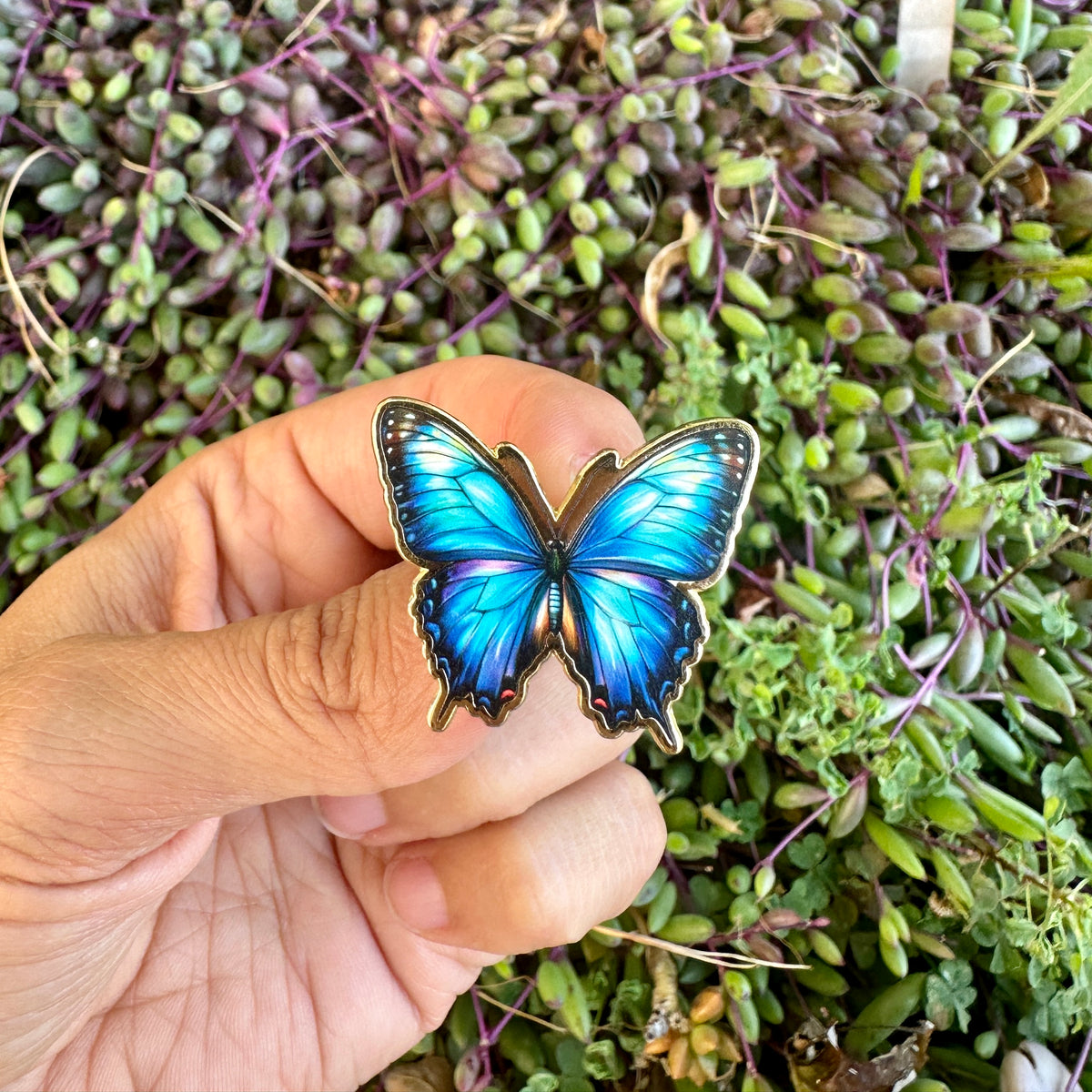 Blue Morpho Butterfly Enamel Pin