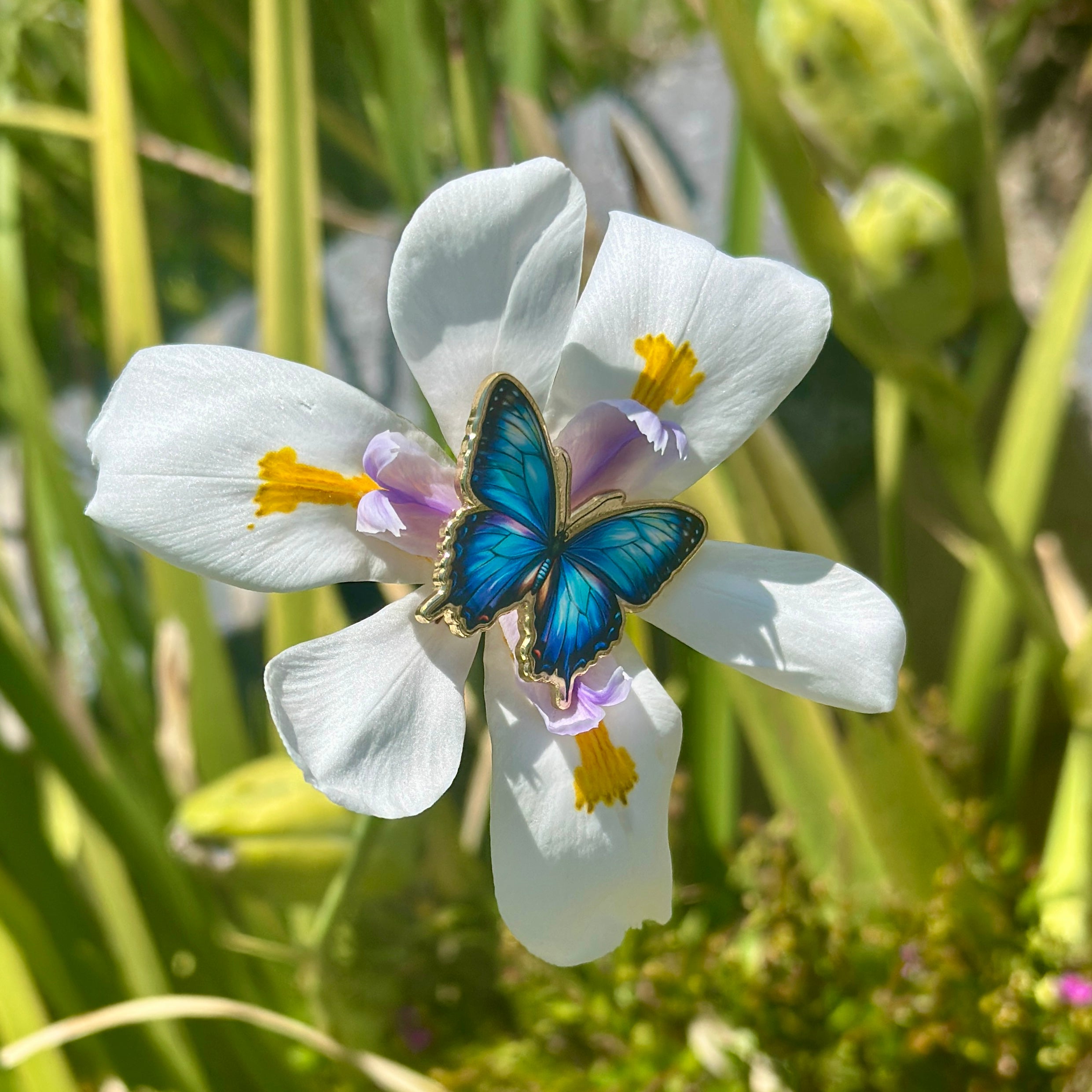 Blue Morpho Butterfly Enamel Pin  Nature-Inspired Lapel Pin for Jacket, Backpack, or Hat