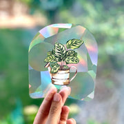 Calathea Suncatcher