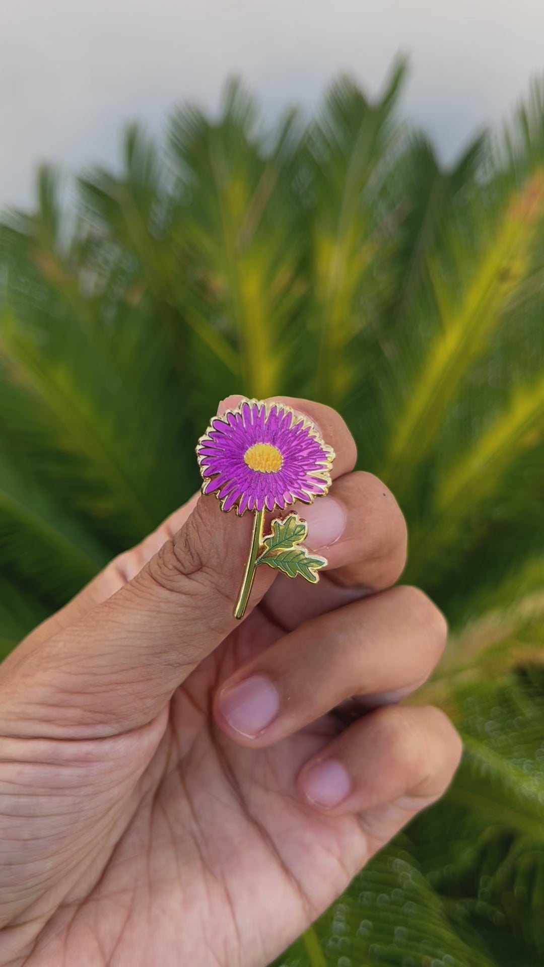 Load video: Aster Pin · September Birth Flower