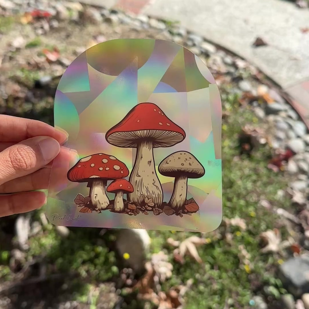 Load video: Mushroom Suncatcher