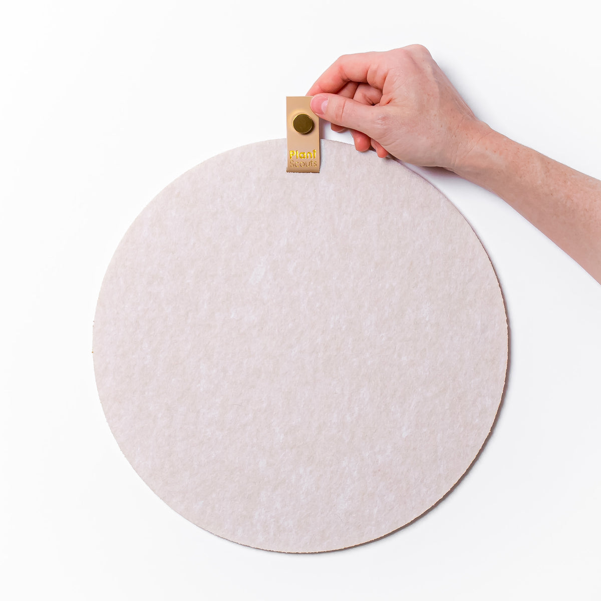 Felt Pin Display Board