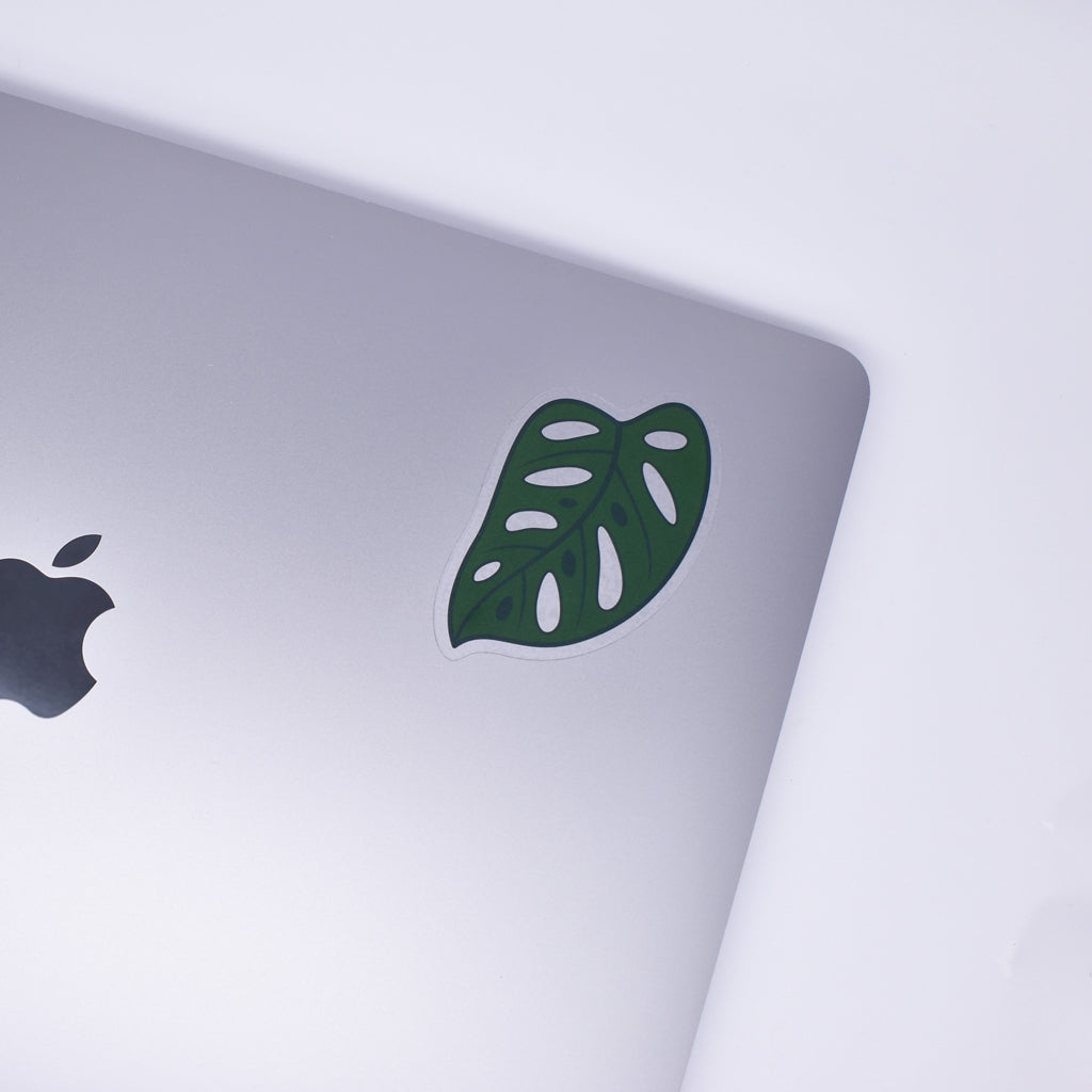 Monstera Adansonii Sticker