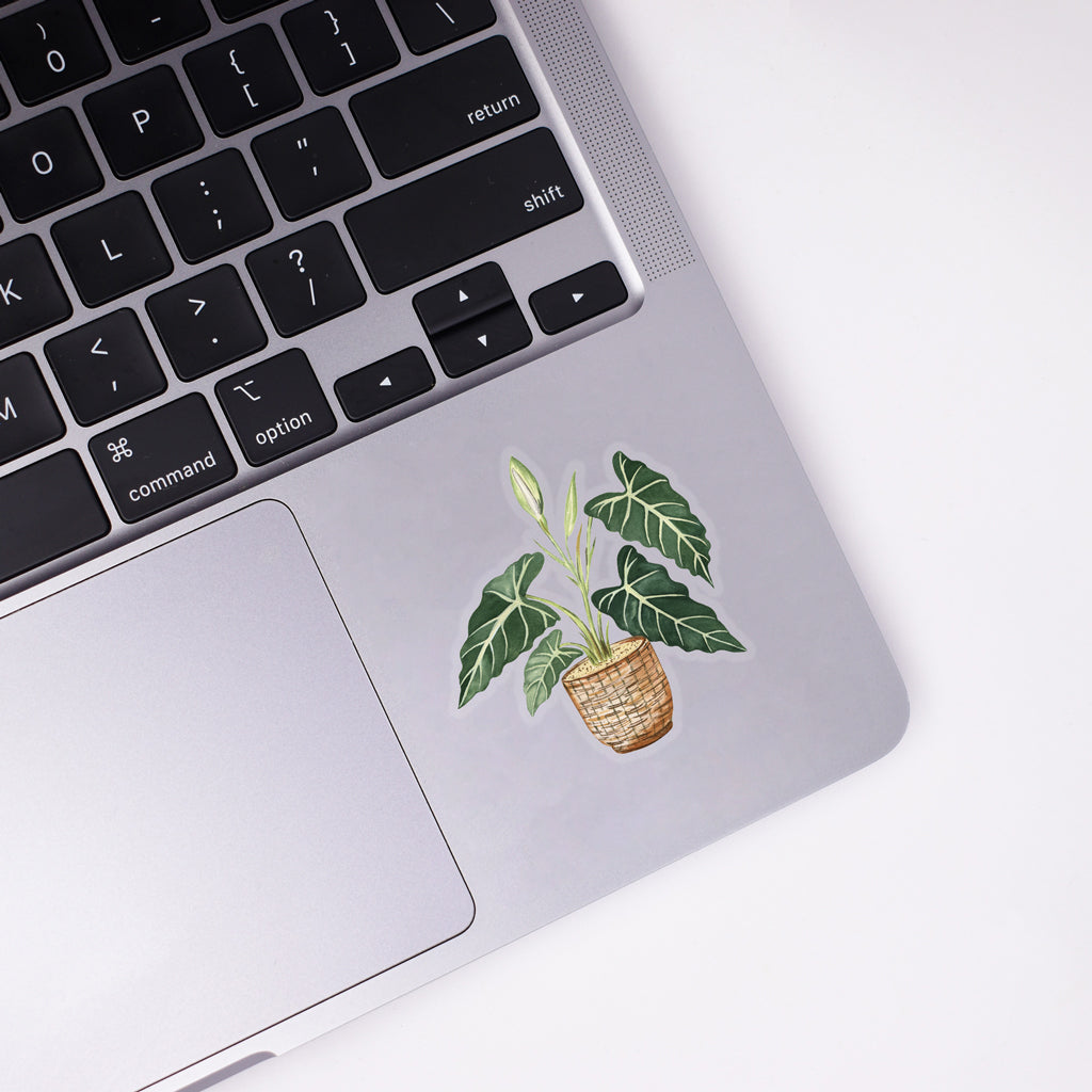 Alocasia Sticker