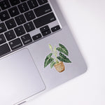 Load image into Gallery viewer, Alocasia Sticker
