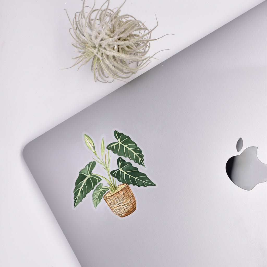Alocasia Sticker