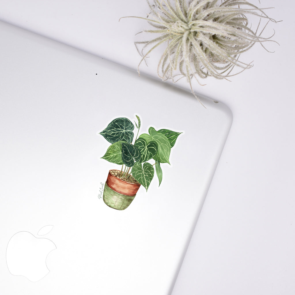 Anthurium Crystallinum Sticker