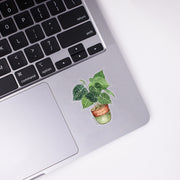 Anthurium Crystallinum Sticker