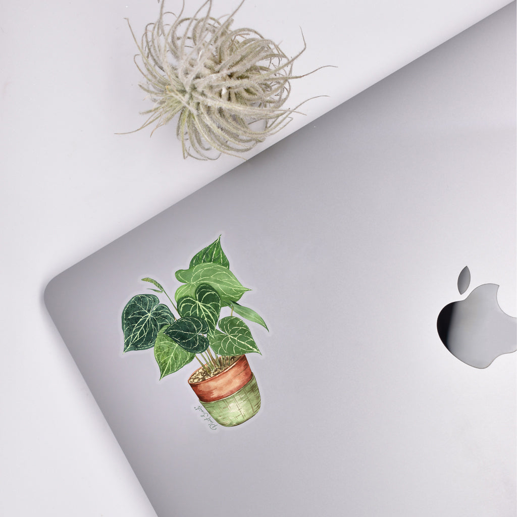 mac anthurium Anthurium Clear Sticker House Plant Plant Shop Products