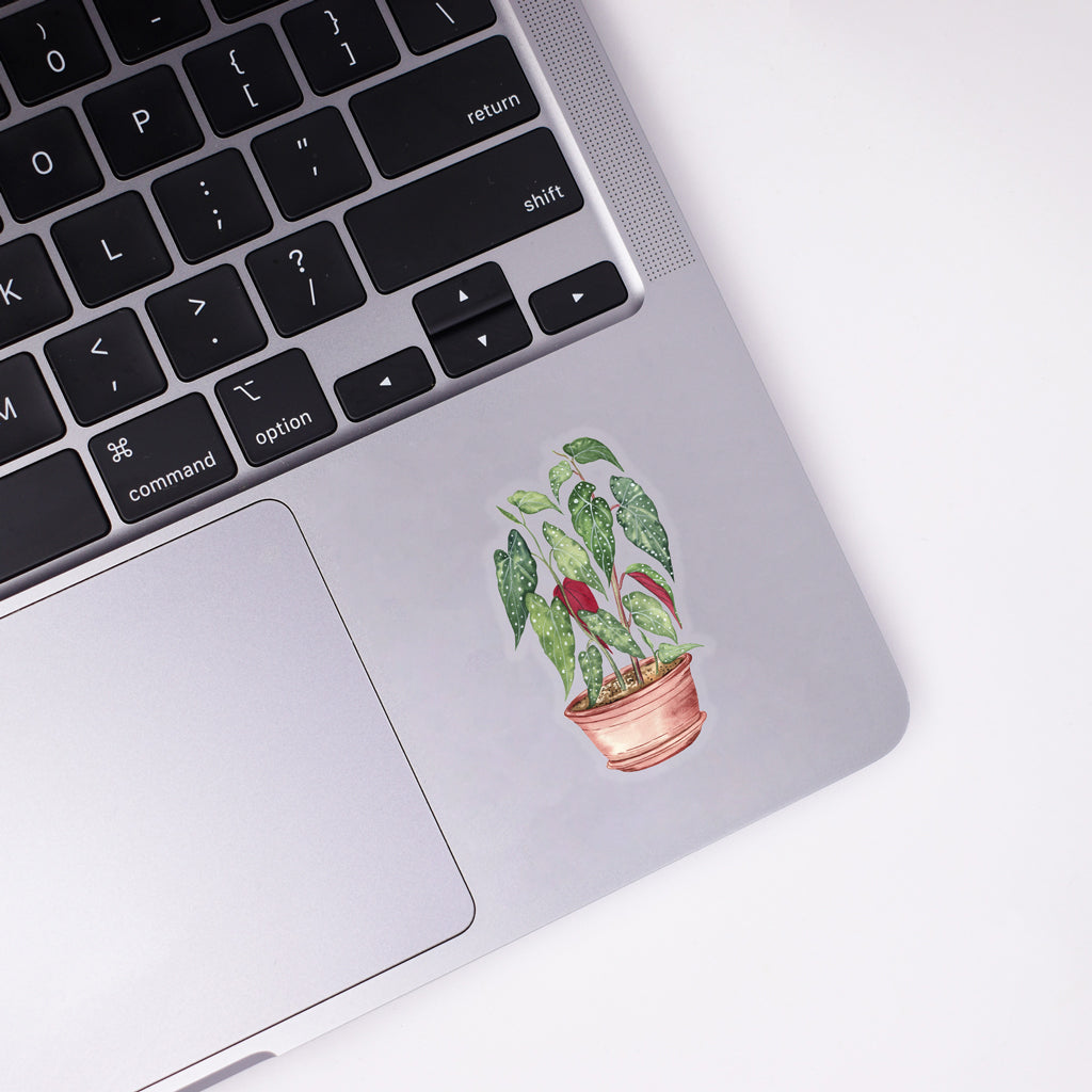 Begonia Sticker