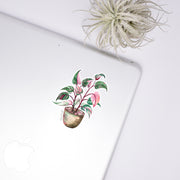 Pink Princess Philodendron Sticker