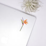 Load image into Gallery viewer, Bird of Paradise Sticker
