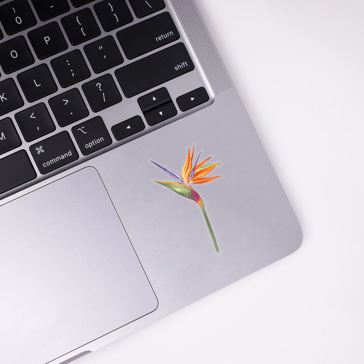 Bird of Paradise Sticker