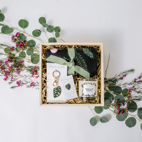 monstera plant gift Monstera Love Gift Box – Plant Scouts