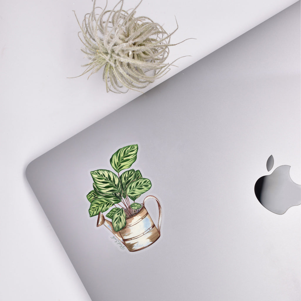 Calathea Sticker