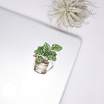 Load image into Gallery viewer, Calathea Sticker
