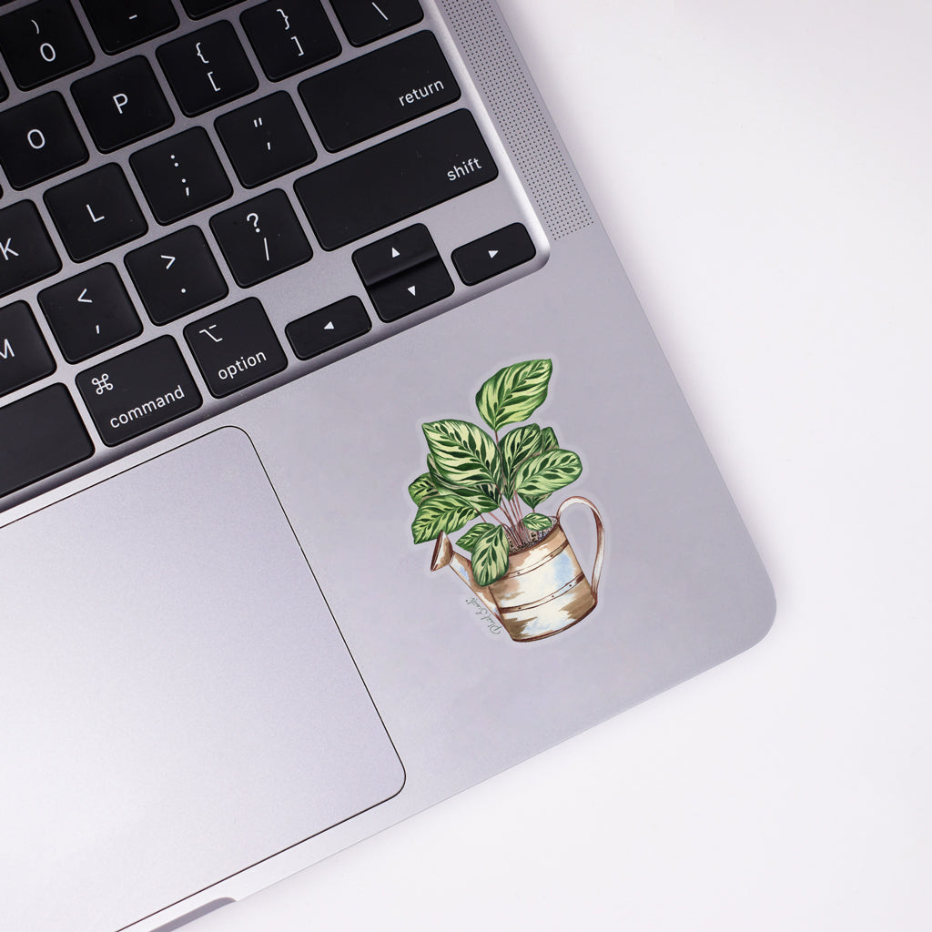 Calathea Sticker
