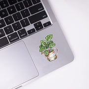 Calathea Sticker