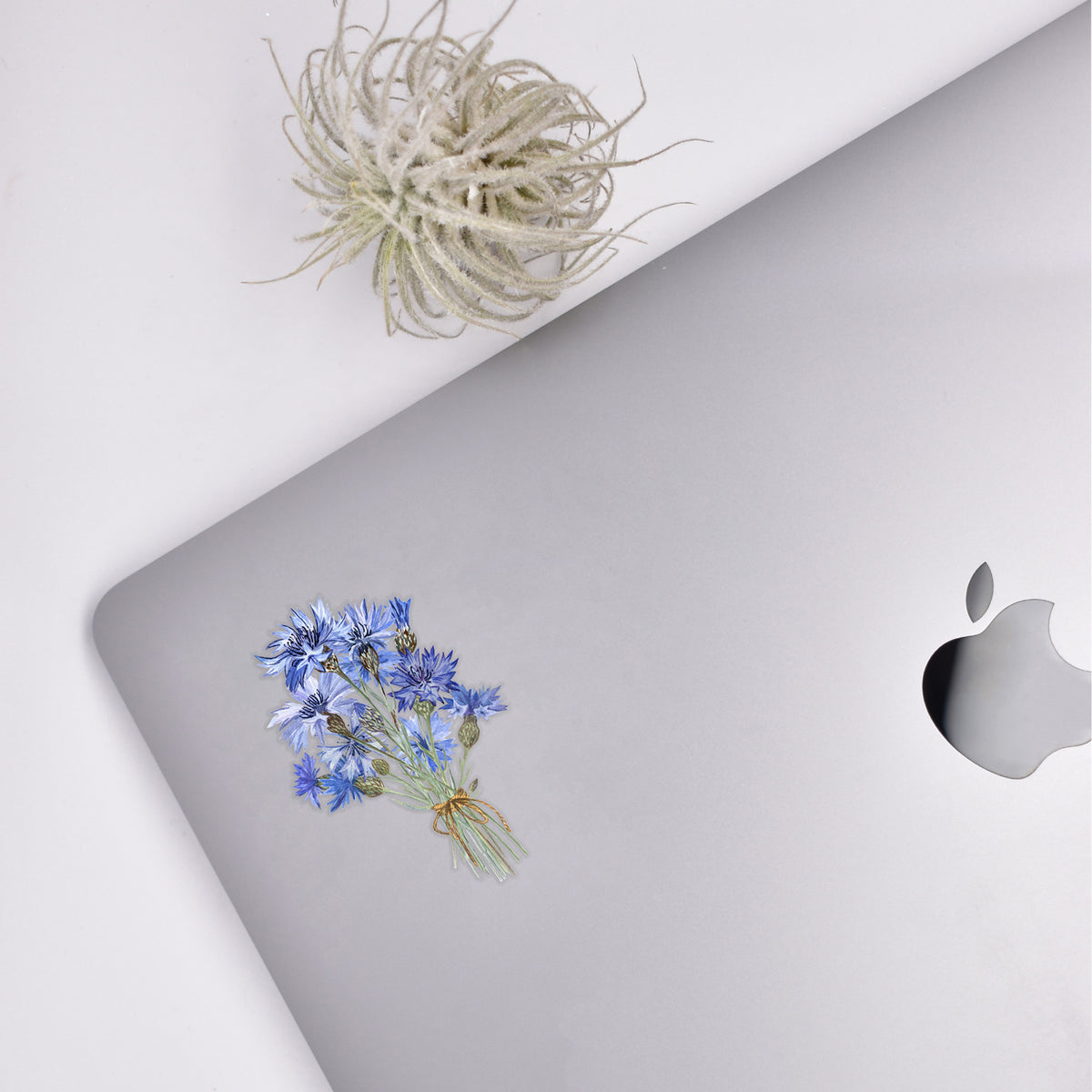 Cornflower Sticker