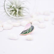 Pink Princess Philodendron