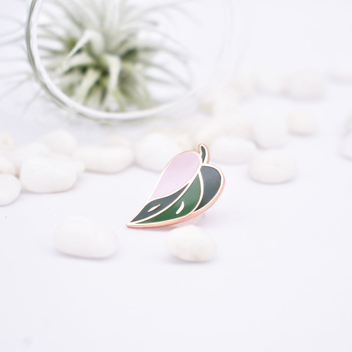 Pink Princess Philodendron