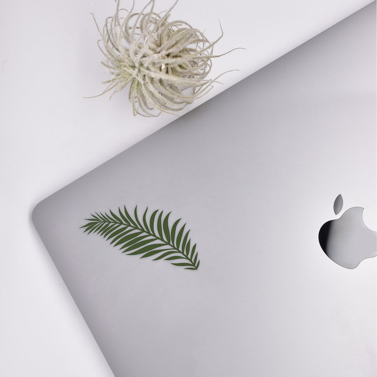 Fern Sticker