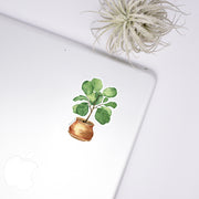 Fiddle Leaf Fig Sticker
