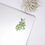 Load image into Gallery viewer, Golden Pothos Clear Sticker
