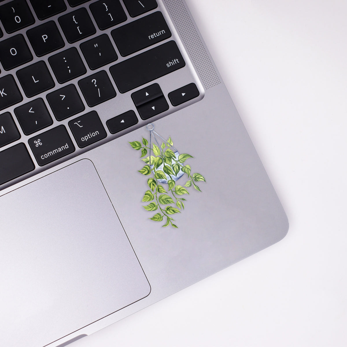 Golden Pothos Sticker