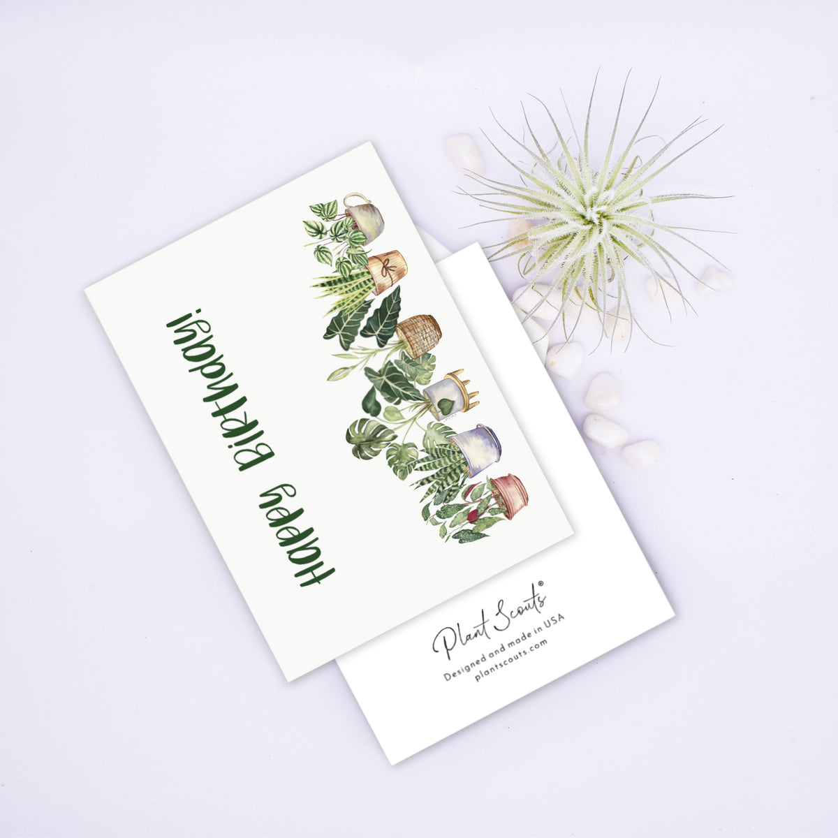 Happy Birthday Potted Plants Greeting Card