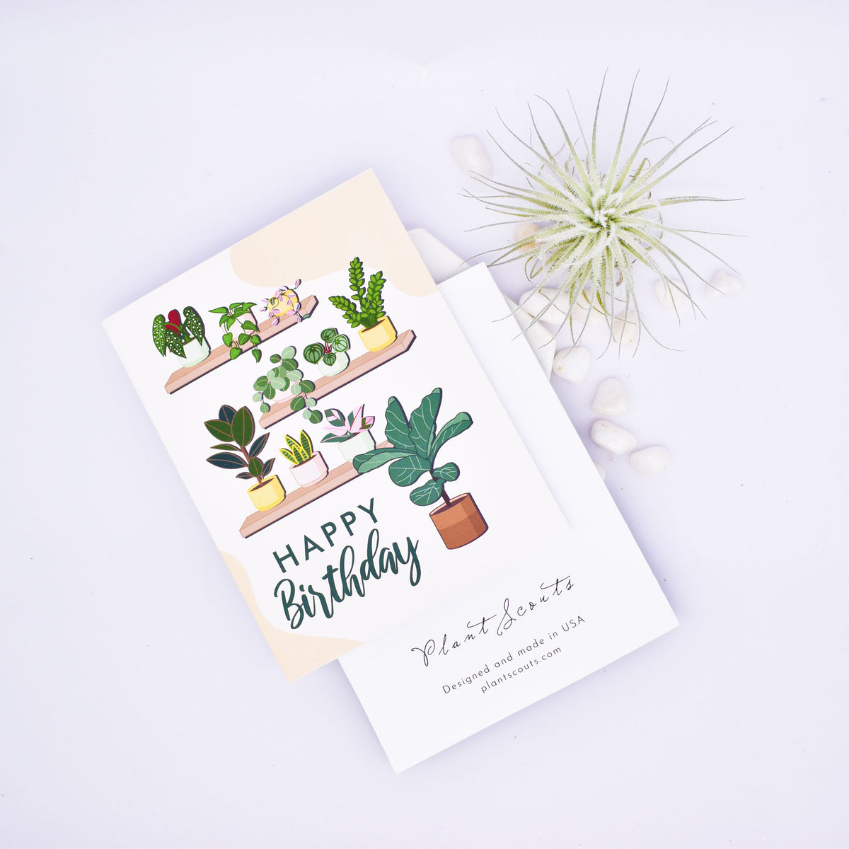 Birthday Greeting Card
