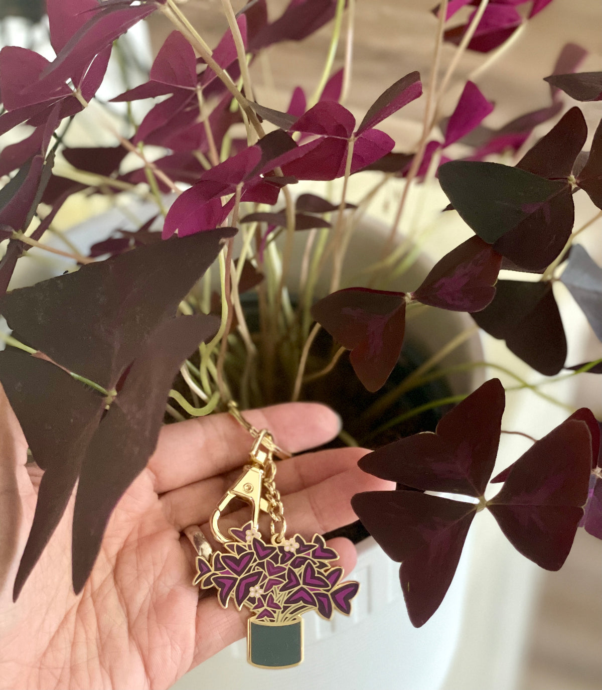 Oxalis Plant Keychain