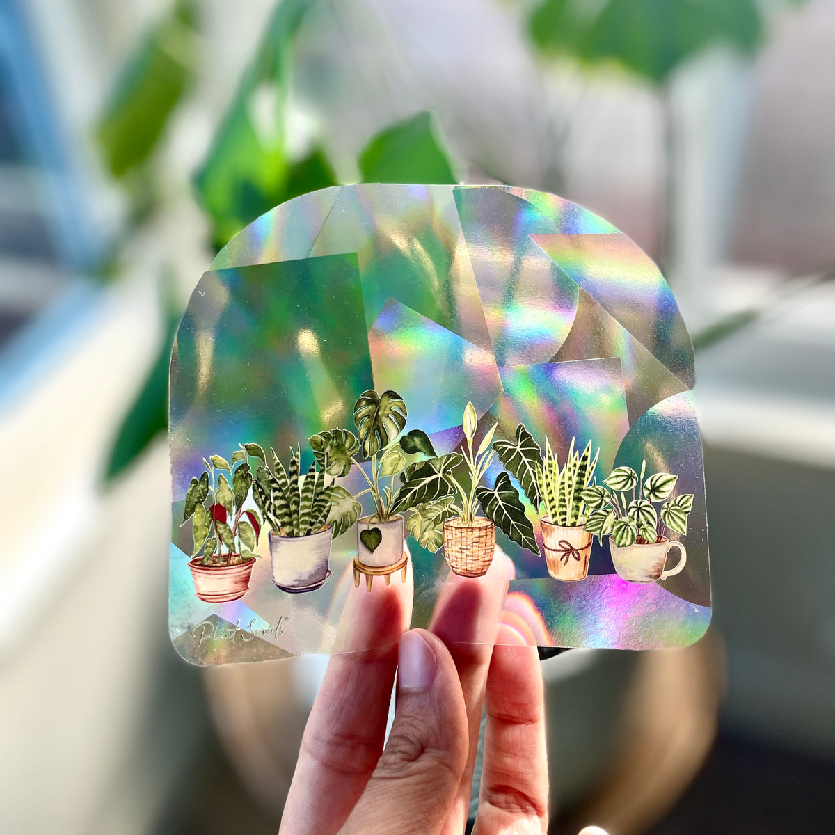 Potted Plant Suncatcher