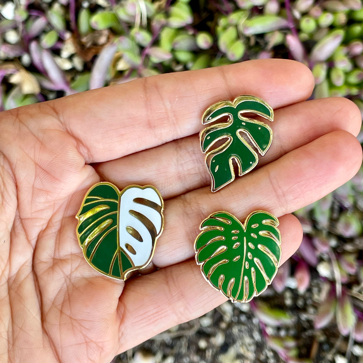 Monstera Plant Pin