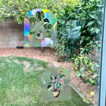 Load image into Gallery viewer, Suncatcher Window Decal - Rainbow making Suncatcher Srickers Pink Princess Philodendron
