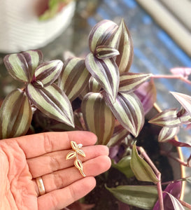 Tradescantia Zebrina Plant Enamel Pin