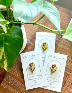 Enamel Pin (Potted Pothos) - Aster & Tulips