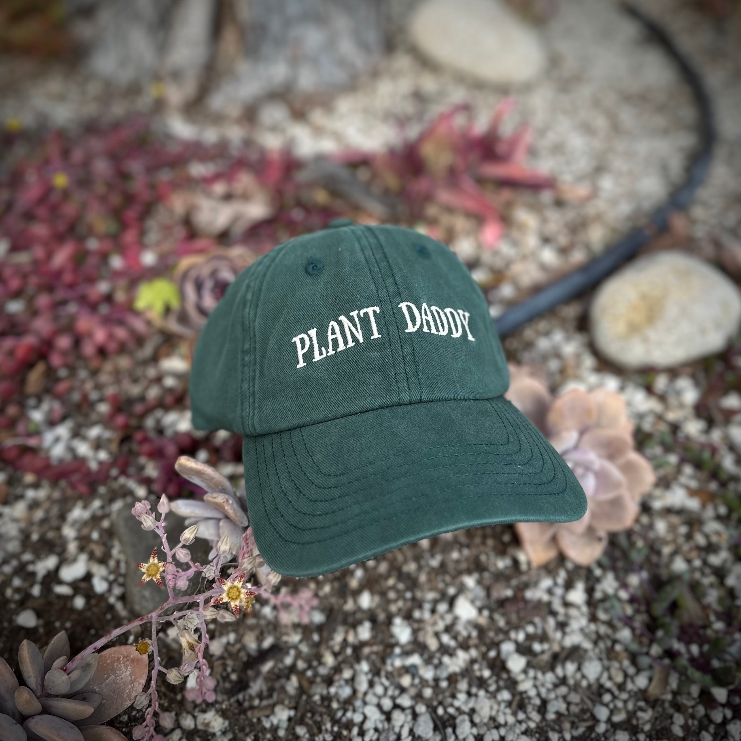 plant seeds idea hat Plant Daddy Hat Green Gardener Gift for Nature and Plant Lovers – Plant Scouts